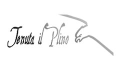 Tenuta Il Plino – San Carlo – Emilia Romagna