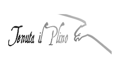 Tenuta Il Plino – San Carlo – Emilia Romagna