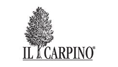 Il Carpino – San Floriano del Collio – Friuli