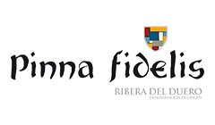 Pinna Fidelis – Ribeira del Duero – Spagna